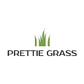 Искусственная трава Prettie Grass в Санкт-Петербурге