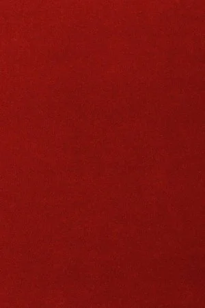 Ковровое покрытие AW Oinone 10 - (5м) в Санкт-Петербурге