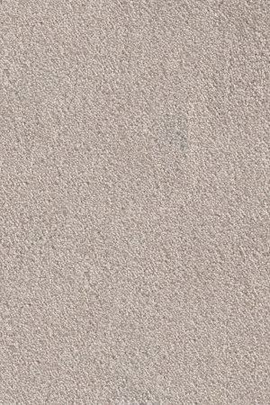 Ковровое покрытие AW Messalina 37 - (5м) в Санкт-Петербурге