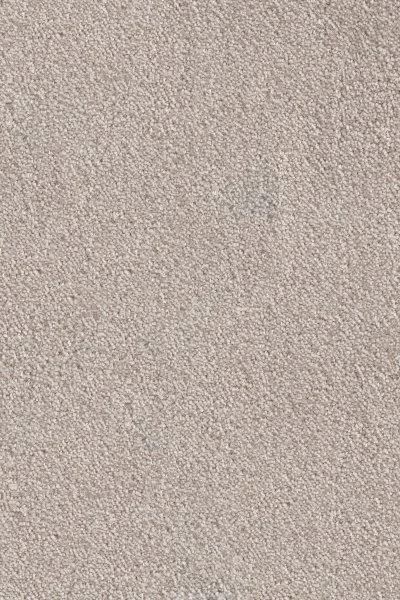 Ковровое покрытие AW Messalina 37 - (4м) в Санкт-Петербурге