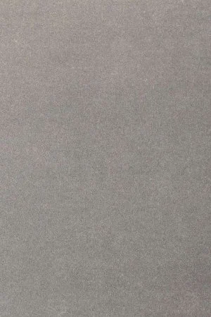 Ковровое покрытие AW Oinone 94 - (4м) в Санкт-Петербурге