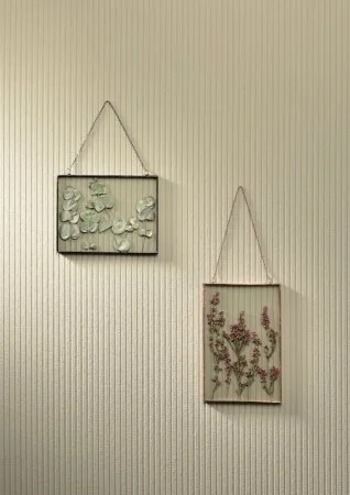 Обои Loymina Shade SD5, 002/1 в Санкт-Петербурге