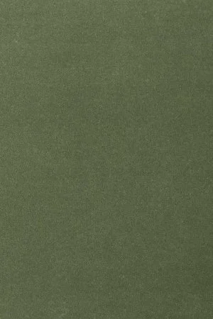 Ковровое покрытие AW Oinone 24 - (4м) в Санкт-Петербурге