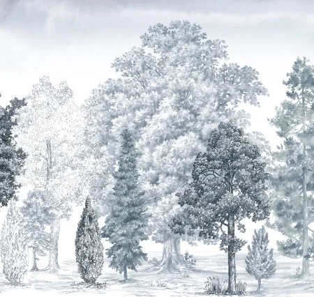 Обои Loymina Пейзаж vol. 2 ART14 006 в Санкт-Петербурге