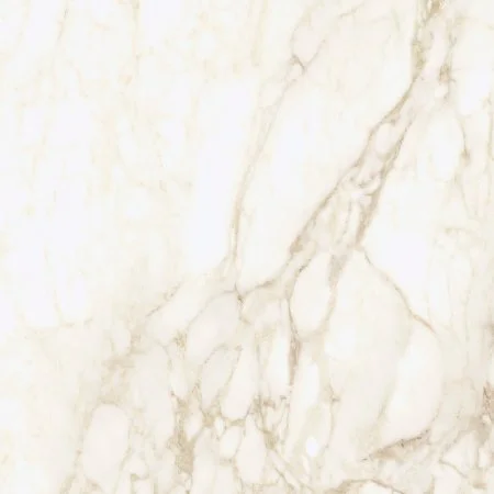 Керамогранит Coliseum Микеланджело Ворм 60х60 (Натуральный и Реттифицированный) в Санкт-Петербурге