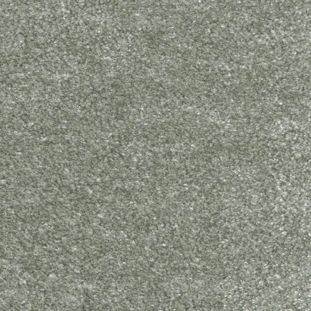 Ковровое покрытие AW Euphoria 28 - (5м) в Санкт-Петербурге