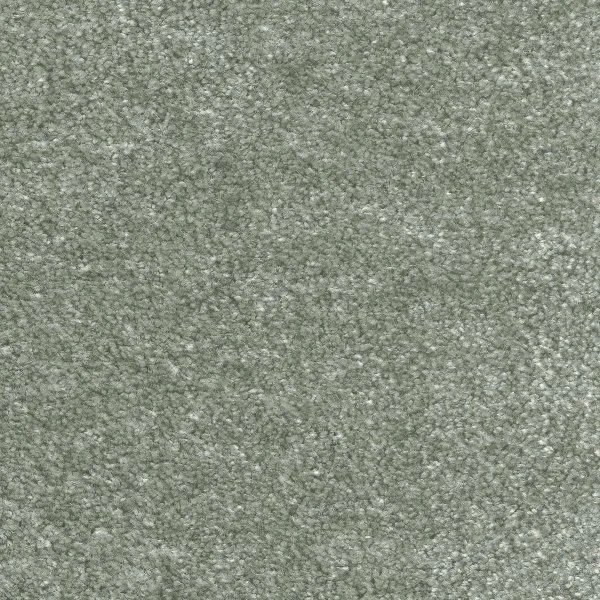 Ковровое покрытие AW Euphoria 28 - (5м) в Санкт-Петербурге