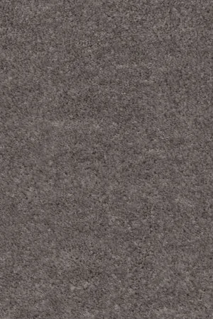 Ковровое покрытие AW Euphoria 45 - (5м) в Санкт-Петербурге