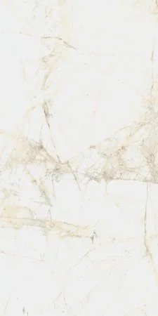 Керамогранит Coliseum Канова Уайт 60х120 (Натуральный и Реттифицированный) в Санкт-Петербурге