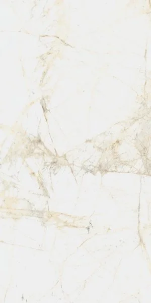 Керамогранит Coliseum Канова Уайт 60х120 (Натуральный и Реттифицированный) в Санкт-Петербурге