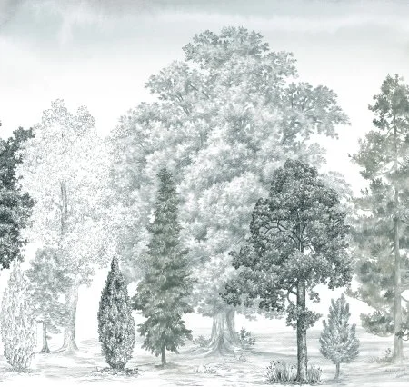 Обои Loymina Пейзаж vol. 2 ART14 011 в Санкт-Петербурге