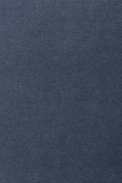 Ковровое покрытие AW Oinone 78 - (4м) в Санкт-Петербурге