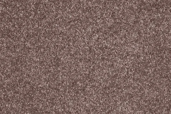 Ковровое покрытие AW Gala 60 - (5м) в Санкт-Петербурге