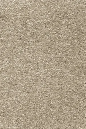 Ковровое покрытие AW Omnia 33 - (4м) в Санкт-Петербурге