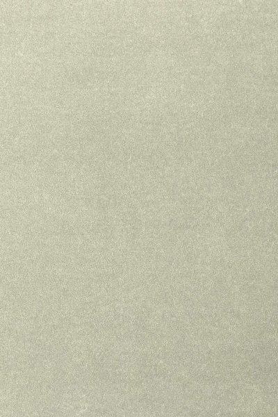 Ковровое покрытие AW Oinone 02 - (4м) в #REGION_NAME_DECLINE_PP#