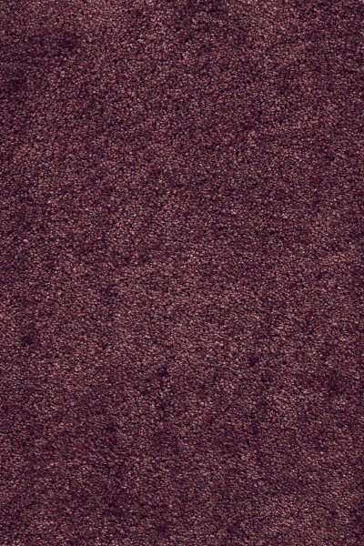 Ковровое покрытие AW Fedone 19 - (5м) в #REGION_NAME_DECLINE_PP#